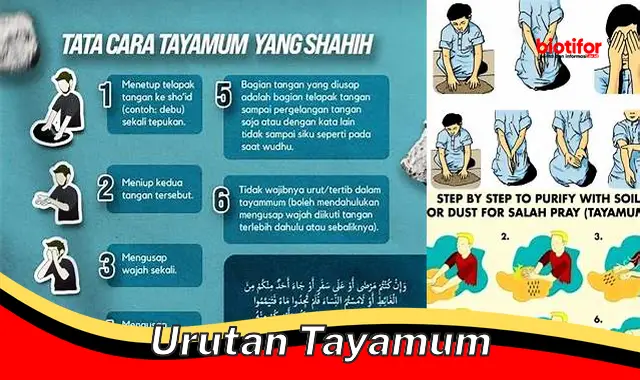urutan tayamum urutan tayamum