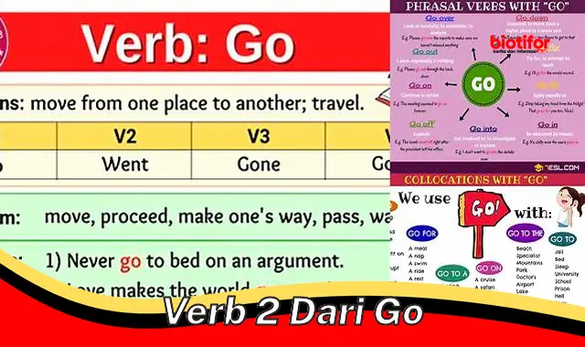 Arti Kata Kerja Bentuk Kedua dari "Go" – Pengertian Lengkap