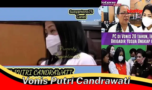 vonis putri candrawati