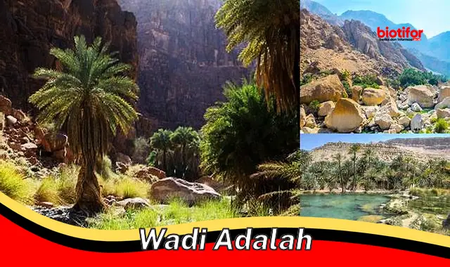 Jelajahi Wadi, Lembah Kering Penuh Misteri dan Manfaat
