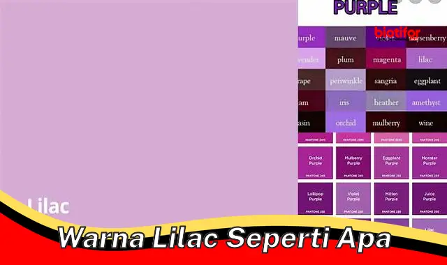 warna lilac seperti apa warna lilac seperti apa