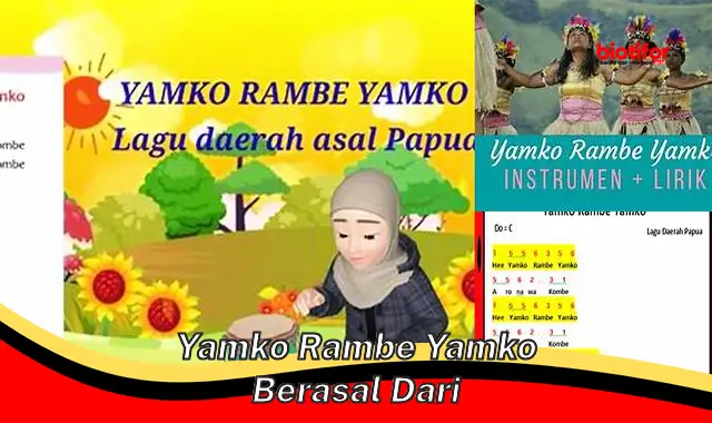 yamko rambe yamko berasal dari yamko rambe yamko berasal dari
