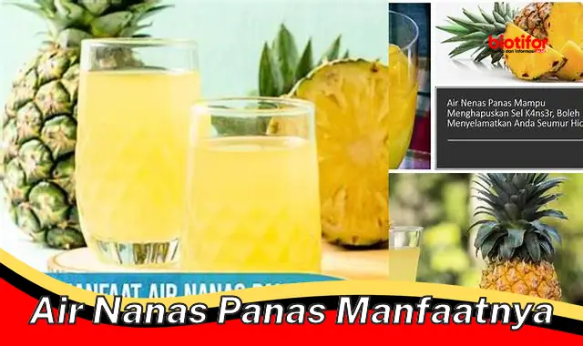 Temukan Manfaat Air Nanas Panas yang Jarang Diketahui