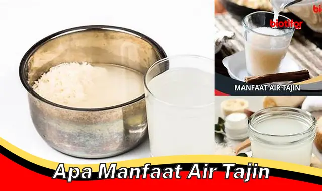 Temukan Manfaat Air Tajin yang Jarang Diketahui