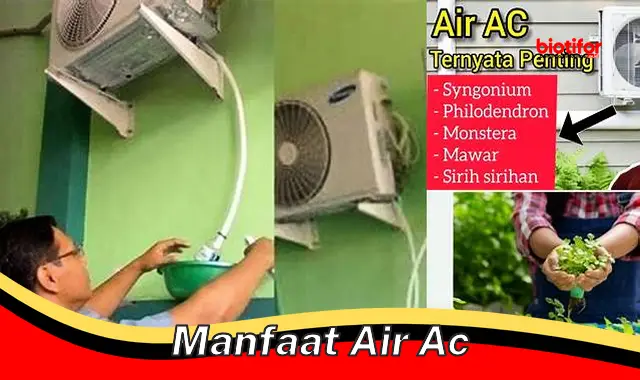 Temukan Manfaat Air AC yang Perlu Anda Ketahui