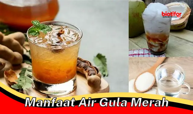 Temukan Segudang Manfaat Air Gula Merah Jarang Diketahui