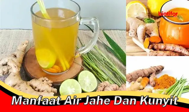 5 Manfaat Air Jahe dan Kunyit yang Tak Banyak Diketahui