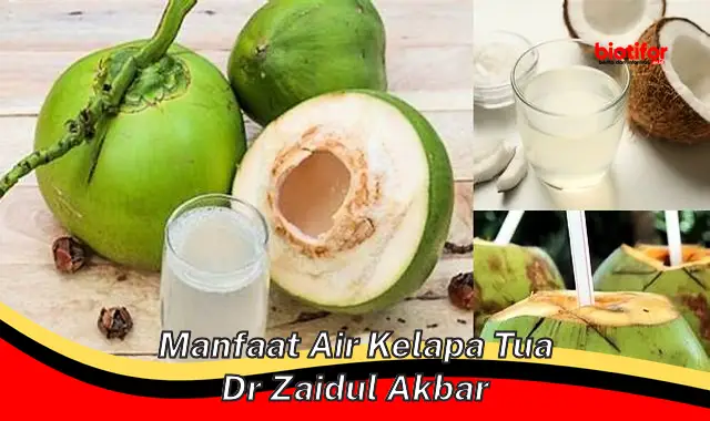 Temukan 5 Manfaat Air Kelapa Tua dr. Zaidul Akbar yang Perlu Kamu Ketahui