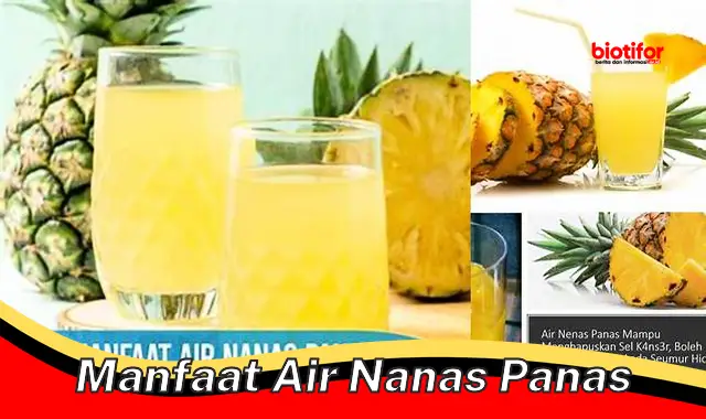 Temukan Manfaat Air Nanas Hangat yang Jarang Diketahui