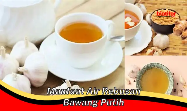 Temukan Rahasia Air Rebusan Bawang Putih yang Jarang Diketahui!