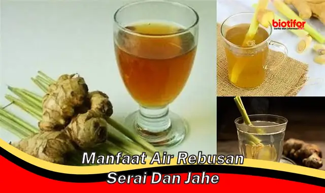 Temukan Manfaat Air Rebusan Serai dan Jahe yang Belum Anda Ketahui