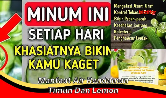 Temukan Khasiat Ajaib Air Rendaman Timun dan Lemon yang Jarang Diketahui