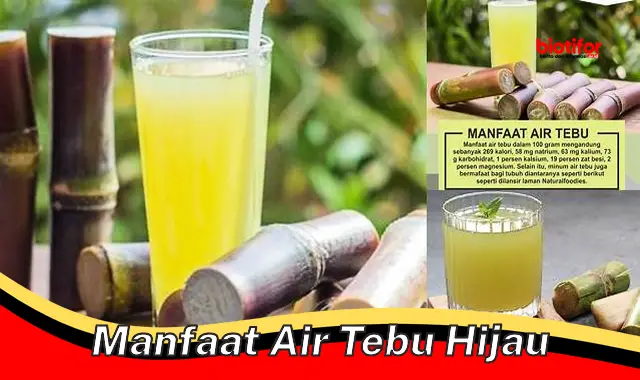 Temukan Rahasia Air Tebu Hijau Jarang Diketahui