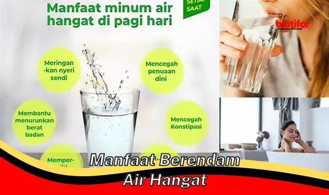manfaat berendam air hangat manfaat berendam air hangat