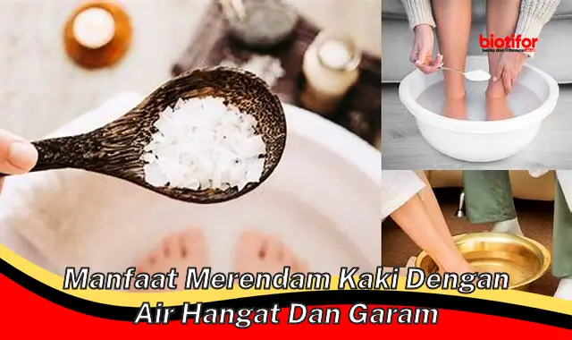 Temukan Khasiat Merendam Kaki dengan Air Hangat dan Garam yang Jarang Diketahui