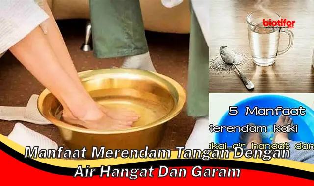 Temukan Manfaat Rendam Tangan dengan Air Hangat dan Garam yang Jarang Diketahui