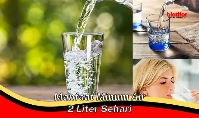Temukan Manfaat Minum Air 2 Liter Sehari yang Jarang Diketahui