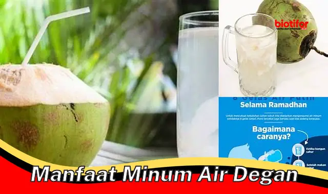 Temukan 5 Manfaat Air Degan yang Jarang Diketahui