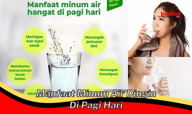 manfaat minum air dingin di pagi hari manfaat minum air dingin di pagi hari