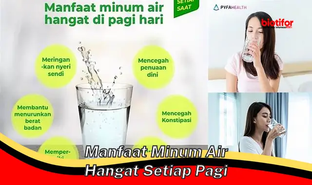 Temukan Manfaat Minum Air Hangat Setiap Pagi yang Jarang Diketahui