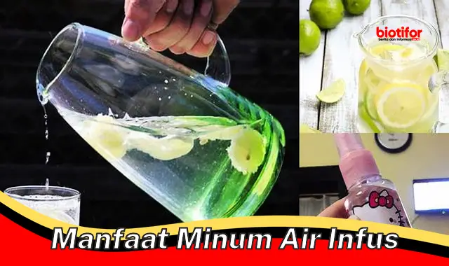 manfaat minum air infus manfaat minum air infus