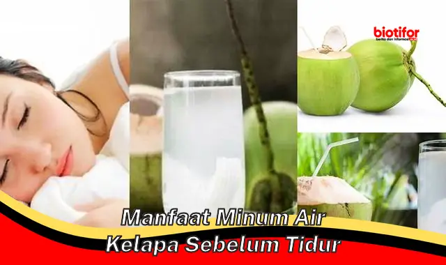 Temukan Manfaat Minum Air Kelapa Sebelum Tidur yang Jarang Diketahui