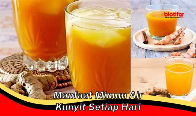 Temukan Manfaat Minum Air Kunyit Setiap Hari yang Jarang Diketahui