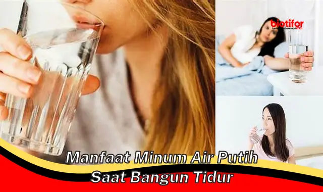 Temukan 5 Manfaat Minum Air Putih Saat Bangun Tidur yang Jarang Diketahui