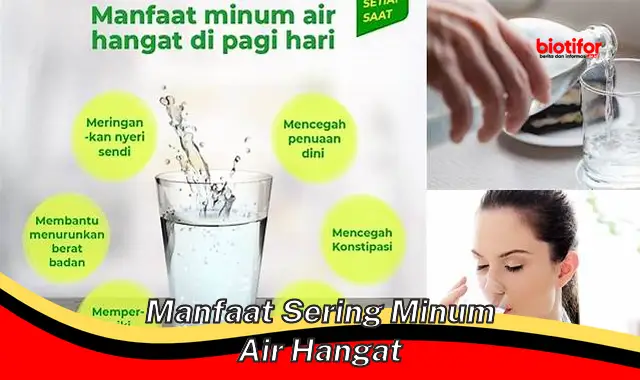 Temukan Manfaat Jarang Diketahui Sering Minum Air Hangat yang Wajib Kamu Tahu