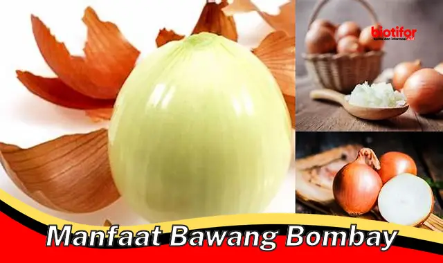 Temukan Khasiat Bawang Bombay yang Jarang Diketahui