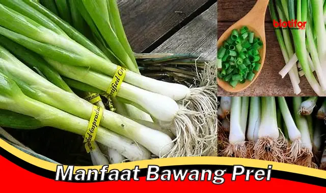 Temukan 5 Manfaat Bawang Prei yang Jarang Diketahui