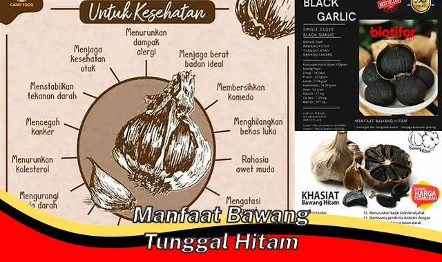 Temukan Manfaat Bawang Hitam yang Perlu Kamu Tahu