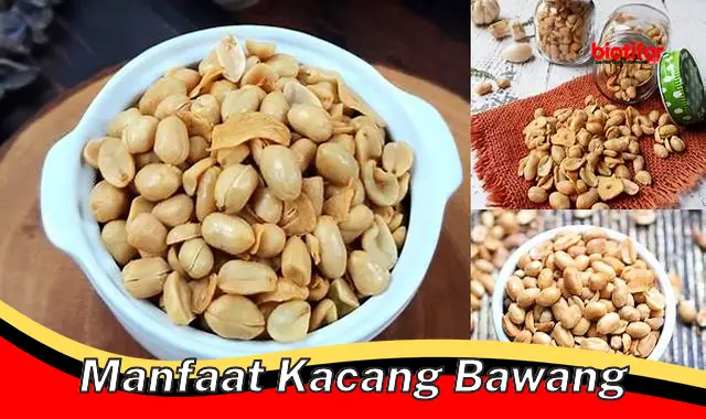 Temukan Manfaat Kacang Bawang yang Jarang Diketahui