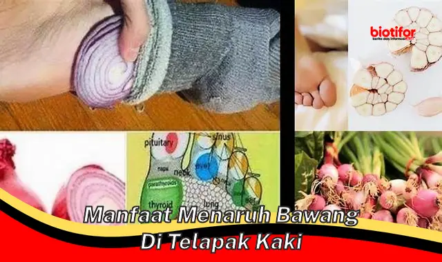 5 Manfaat Taruh Bawang di Telapak Kaki, Jarang Diketahui!