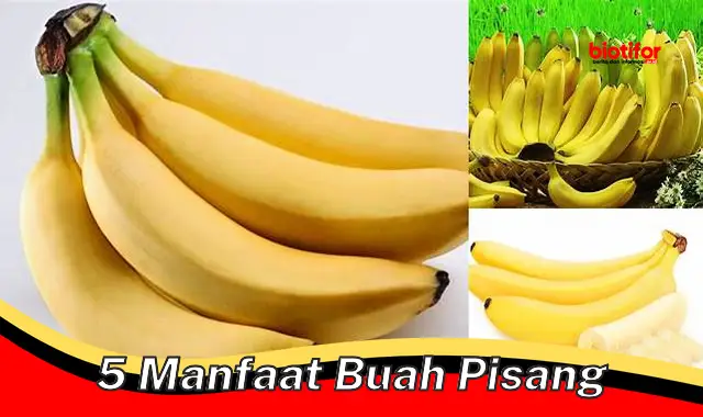 5 Khasiat Pisang yang Jarang Diketahui