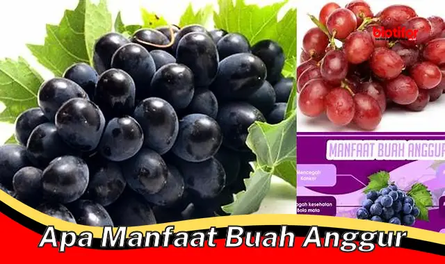 Temukan Manfaat Buah Anggur Jarang Diketahui yang Perlu Anda Tahu