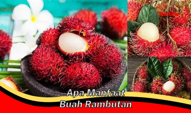 Temukan 5 Manfaat Buah Rambutan yang Jarang Diketahui