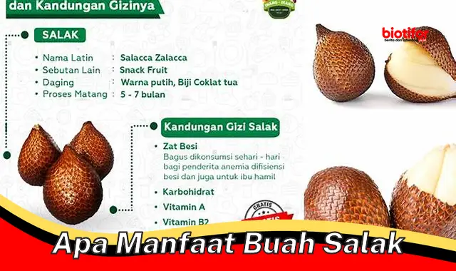 5 Manfaat Jarang Diketahui dari Buah Salak