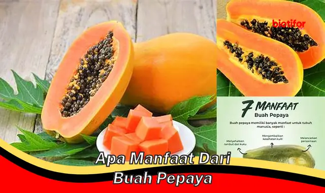 Temukan Khasiat Buah Pepaya yang Jarang Diketahui