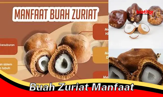 Temukan Manfaat Buah Zuriat yang Jarang Diketahui