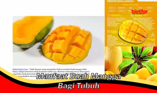 Temukan Manfaat Buah Mangga yang Jarang Diketahui Bagi Tubuh