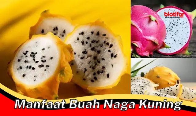 Temukan Khasiat Buah Naga Kuning yang Jarang Diketahui