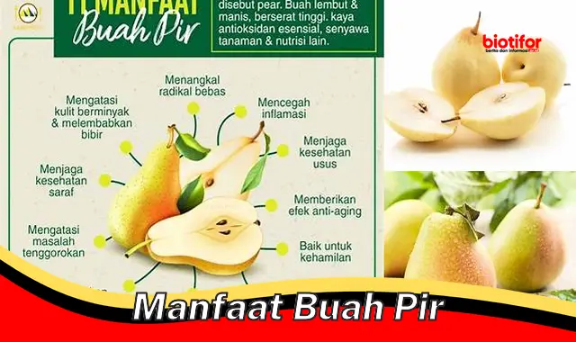 Temukan Manfaat Buah Pir Jarang Diketahui yang Wajib Anda Ketahui