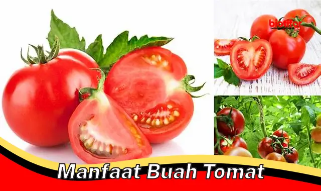 Temukan Khasiat Buah Tomat yang Jarang Diketahui