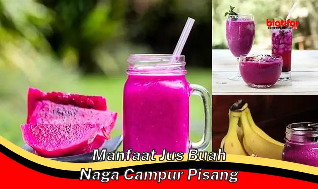 Temukan Khasiat Jus Buah Naga Campur Pisang yang Jarang Diketahui