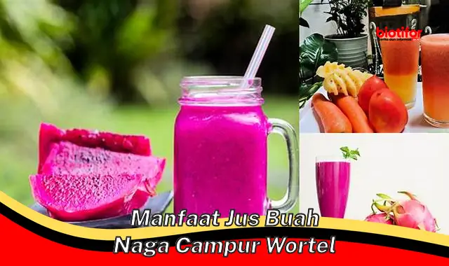 Temukan 5 Manfaat Jus Buah Naga Campur Wortel yang Jarang Diketahui!