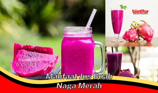 Temukan Manfaat Jus Buah Naga Merah yang Jarang Diketahui