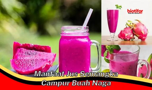 5 Manfaat Jus Semangka Campur Buah Naga yang Jarang Diketahui