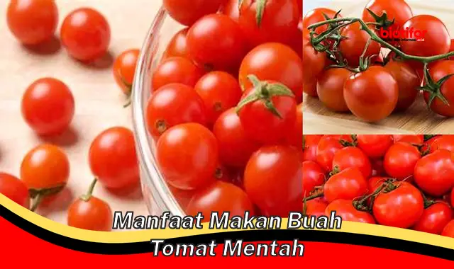 Temukan Manfaat Makan Tomat Mentah yang Jarang Diketahui