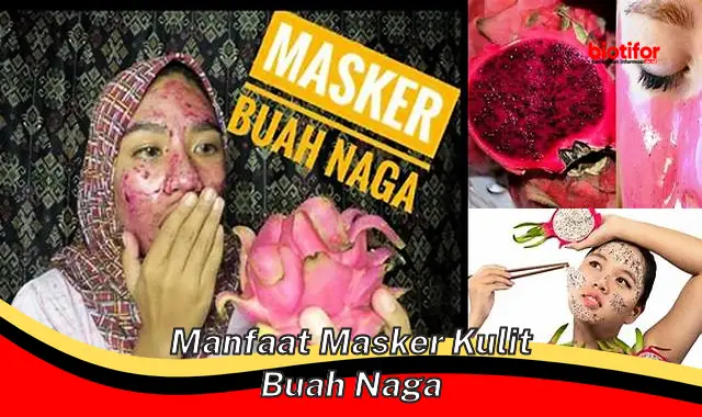 Temukan Rahasia Masker Kulit Buah Naga yang Jarang Terungkap